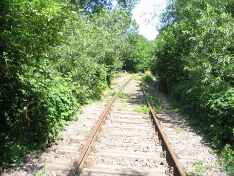 Br�cke �ber einen Graben