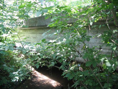 Br�cke �ber die �de