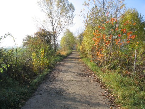 Zufahrt nach Neubleicherode