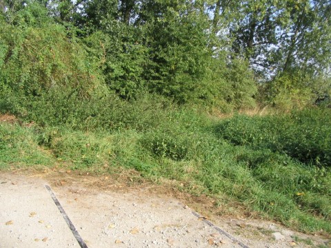 Gleisende Rbenverladung Westerode