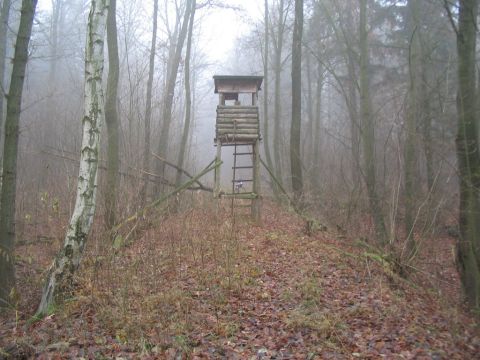 Trasse zwischen Sch�nau und Georgenthal