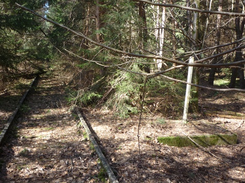 Einfahrt in den Betriebsbahnhof Stempelbrunnen
