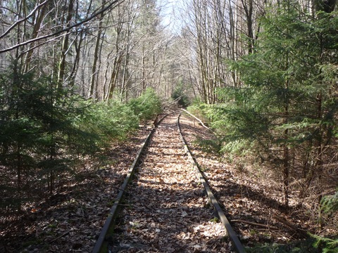 Zwischen Viadukt und Tunnel