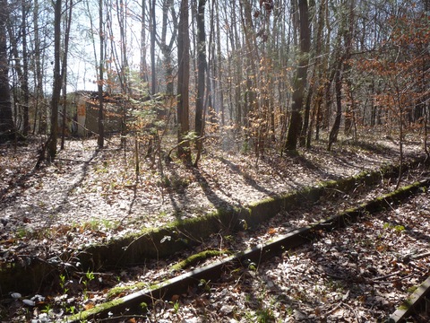 Alter Haltepunkt Eiswoog