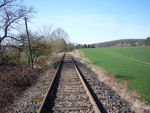 Zwischen Stempelbrunnen und Alsenborn