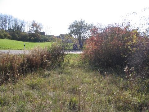 Bahn�bergang Sch�rzingen