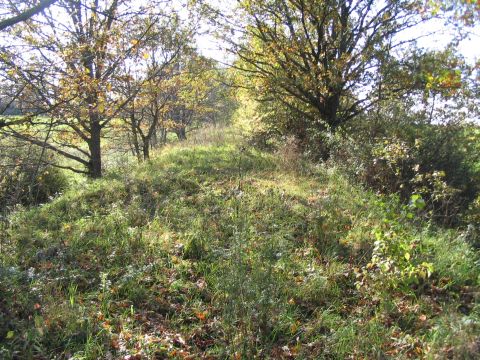 Zwischen Sch�mberg und Sch�rzingen