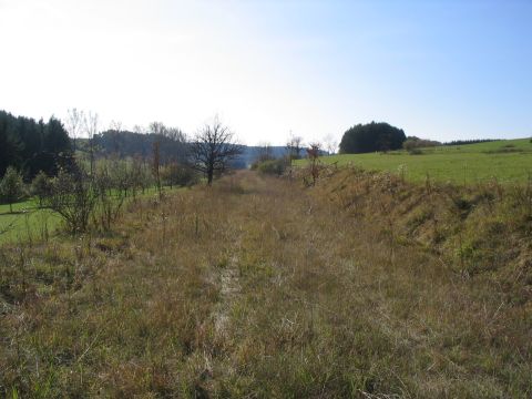 Zwischen Sch�rzingen und Eckerwald