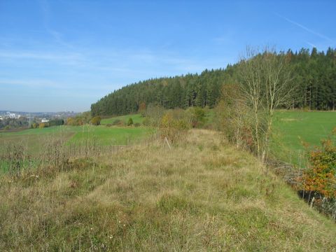 Zwischen Wellendingen und Rottweil Altstadt