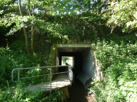 Brücke über den Brünnlesbrunnen