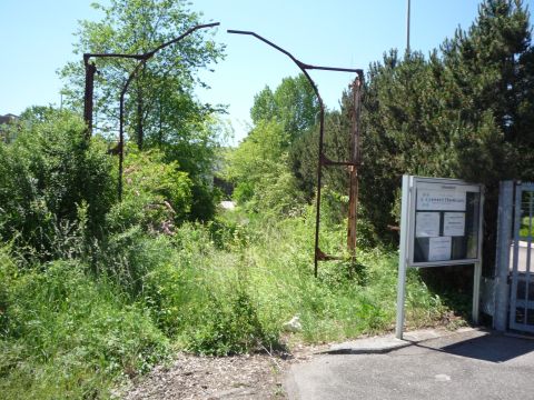 Ladema