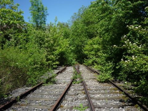 Zufahrt zur Kartonagenfabrik