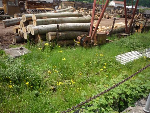 Firma H�berlein & Co