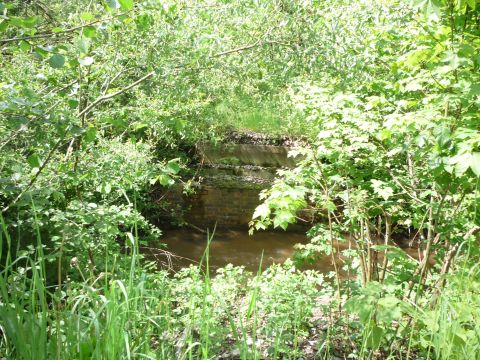 Ehemalige Br�cke �ber den N�gelesbach