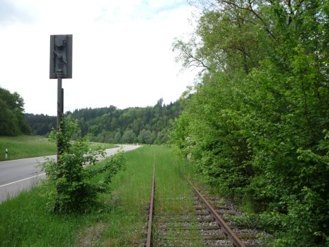 Zwischen Laufen und Wengen