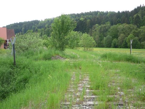 Zwischen Sulzbach und Laufen
