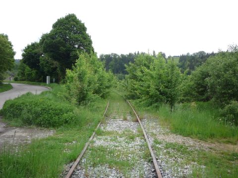 Zwischen Wengen und Untergr�ningen