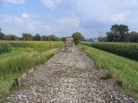 Brcke im Wemdinger Ried