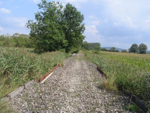 Brcke im Wemdinger Ried