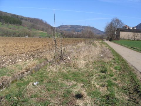 Haltepunkt Gr�nbach