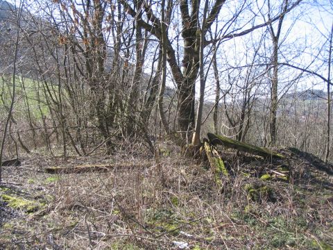 Prellb�cke Wei�enstein