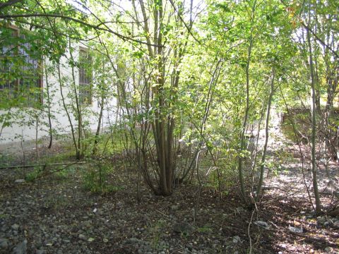 ehemalige Drehscheibe Laichingen