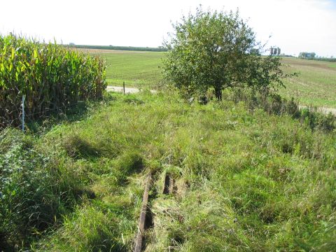 Gleisreste vor der Autobahn