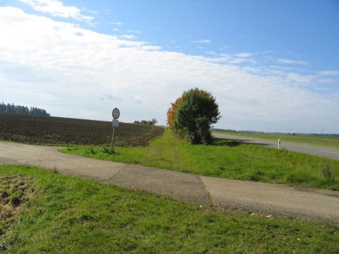 Gleisreste vor der Autobahn