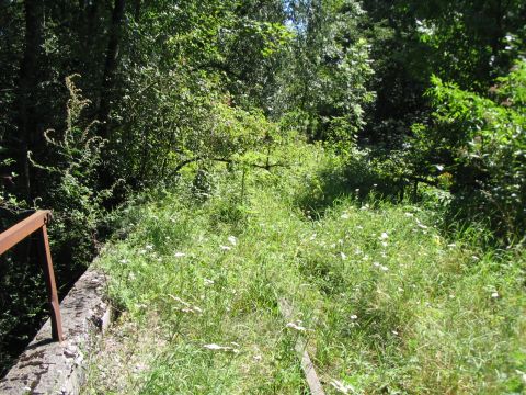 Br�cke �ber einen Waldweg