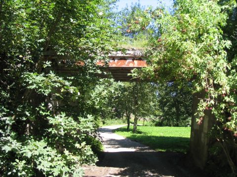 Br�cke �ber einen Waldweg