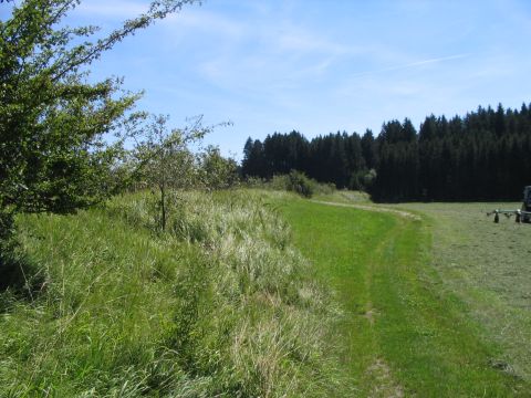 Zwischen Schnerzhofen und Ettringen