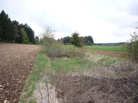 Trasse auf dem Feld