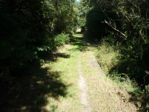 Br�cke �ber einen Graben