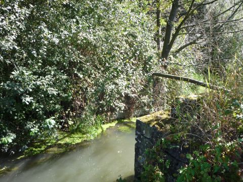 Br�cke �ber den Banngraben