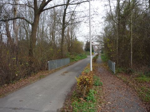 Zwischen Rhein und Ottenheim