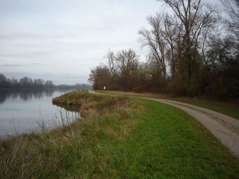 Ehemalige Schiffsbr�cke �ber den Rhein