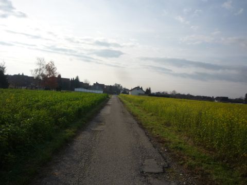 Zwischen Dundenheim und Ichenheim