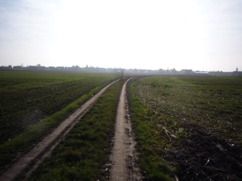 Zwischen Goldscheuer-Kittersburg und Altenheim