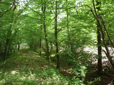 Zwischen Iffezheim und Rastatt �bergabebahnhof