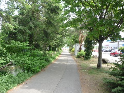 H�gelsheim Ladegleis