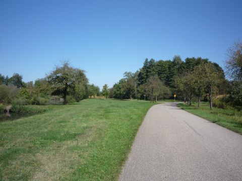 Zwischen Leutesheim und Honau