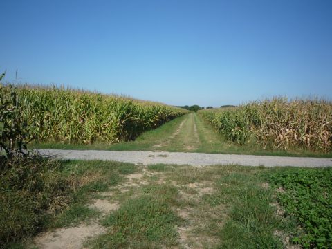Zwischen Lichtenau-Ulm und Schwarzach