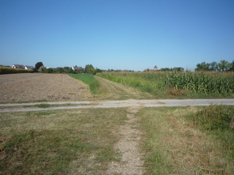 Zwischen Lichtenau-Ulm und Schwarzach