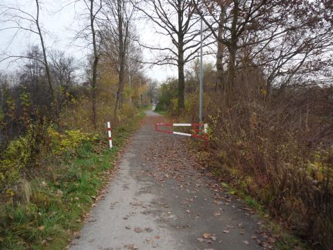 Zwischen Rhein und Ottenheim