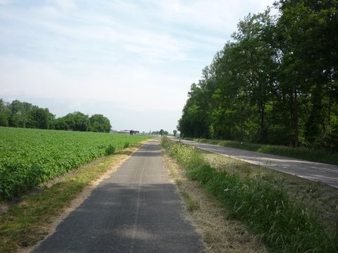 Zwischen S�llingen und H�gelsheim