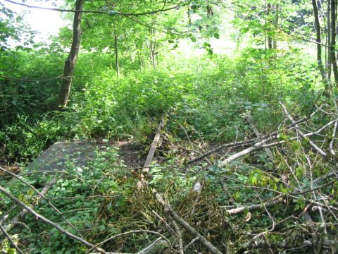 Bachdurchlass vor der Papierfabrik