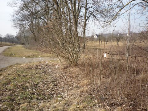 Haltepunkt Scharnhausen Kr�henbach