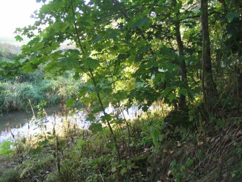 Ehemalige Br�cke �ber die Helbe