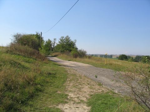 Zwischen Westgreu�en und Rohnstedt