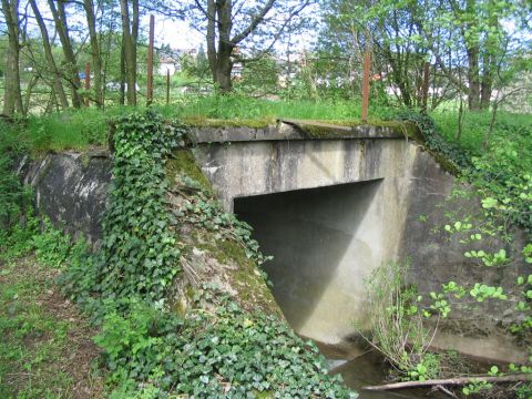 Br�cke �ber den Reichenbach